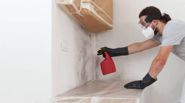Professional Bathroom Mold Removal technician working in Lyndhurst, VA