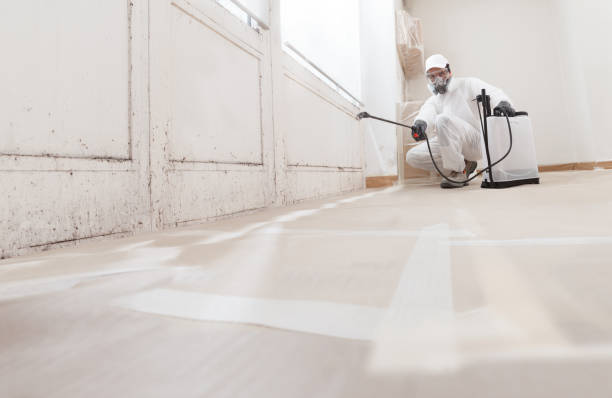 24/7 Emergency Bathroom Mold Removal experts in Lyndhurst, VA