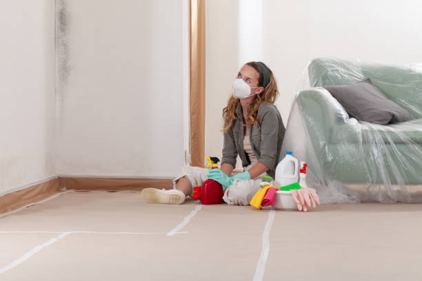Reliable Bathroom Mold Removal contractor in Lyndhurst, VA by 24 Hour Mold Removal